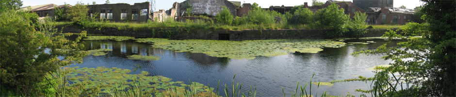 Ulverston Angling Association Header Image 7