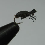 Ethafoam Beetle