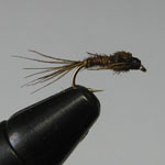 Pheasant Tail Nymph