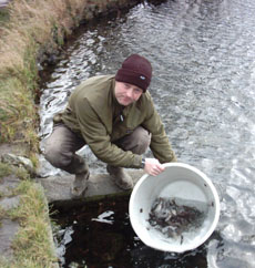 Stock going into Canal