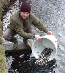 Stock going into Canal