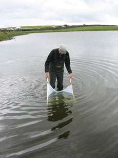 Looking for Aquatic Insects